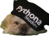 Pythona Studios Cuffed Beanie - Image 11