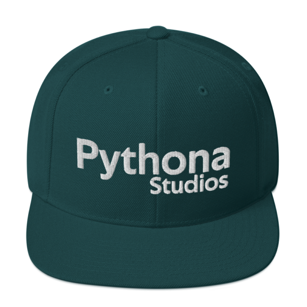 Pythona Studios Snapback Hat - Image 6